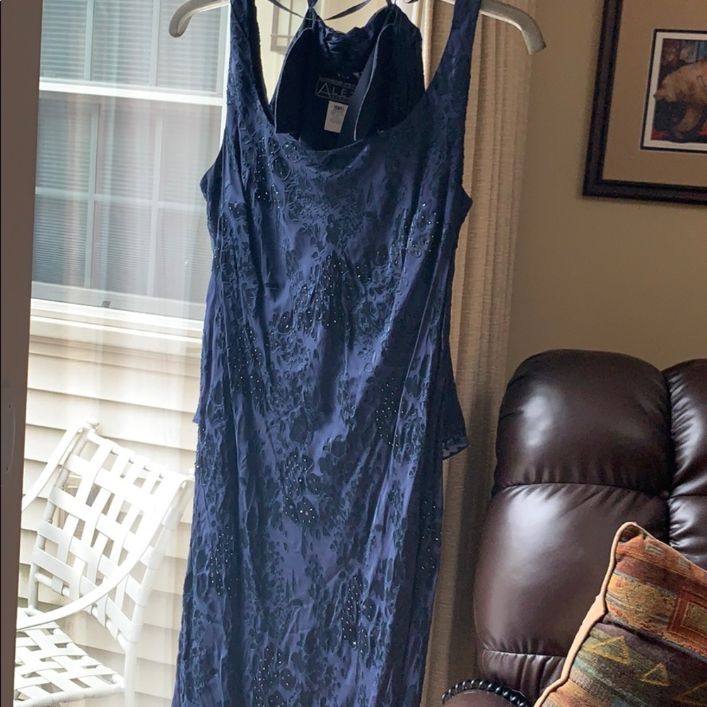 2 Piece dress by Alex Evenings